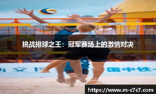 挑战排球之王：冠军赛场上的激情对决